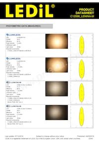 C12598_LENINA-M Datasheet Pagina 22