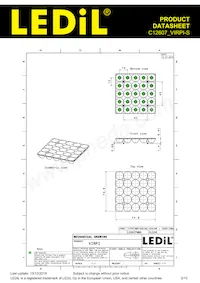 C12607_VIRPI-S Datasheet Page 2