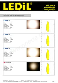 C12608_VIRPI-M Datasheet Pagina 4