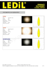 C12608_VIRPI-M Datasheet Pagina 6