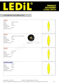 C12608_VIRPI-M Datasheet Pagina 9