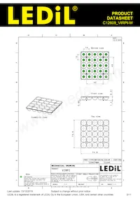 C12609_VIRPI-W 데이터 시트 페이지 2