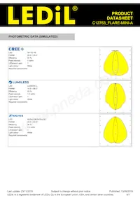 C12763_FLARE-MINI-A Datasheet Page 6
