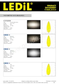 C12828_EVA-O Datasheet Page 3