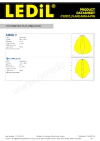 C12837_FLARE-MINI-A-PIN Datasheet Page 6