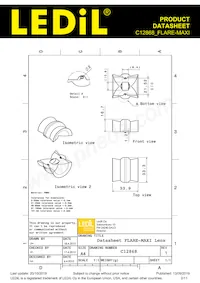 C12868_FLARE-MAXI Datenblatt Seite 2