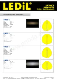 C13012_FLARE-MAXI-D Datenblatt Seite 4