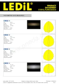 C13012_FLARE-MAXI-D Datasheet Pagina 4