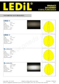 C13012_FLARE-MAXI-D Datasheet Pagina 5