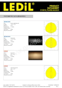 C13012_FLARE-MAXI-D Datasheet Pagina 8