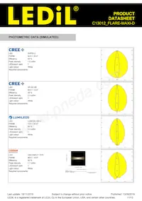 C13012_FLARE-MAXI-D Datasheet Pagina 11