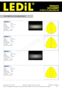 C13015_FLARE-MINI-AD Datasheet Pagina 3