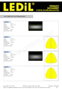 C13016_FLARE-MINI-AD-PIN Datasheet Pagina 3