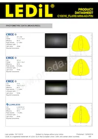 C13016_FLARE-MINI-AD-PIN Datasheet Page 4