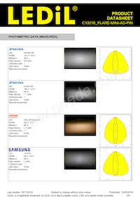 C13016_FLARE-MINI-AD-PIN Datasheet Pagina 5