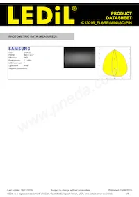 C13016_FLARE-MINI-AD-PIN Datasheet Page 6