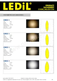 C13095_MELODY-3-M Datasheet Page 3