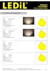 C13101_LENA-X-WAS Datasheet Page 2