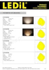 C13101_LENA-X-WAS Datasheet Page 7