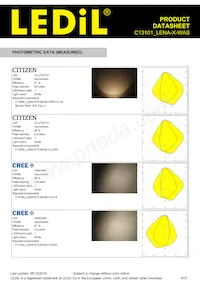 C13101_LENA-X-WAS Datasheet Pagina 8