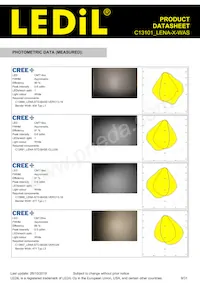 C13101_LENA-X-WAS Datasheet Pagina 9