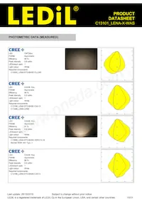 C13101_LENA-X-WAS Datasheet Pagina 10