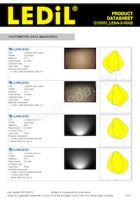 C13101_LENA-X-WAS Datasheet Page 13