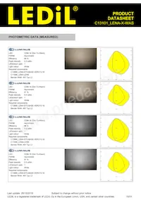 C13101_LENA-X-WAS Datasheet Pagina 15