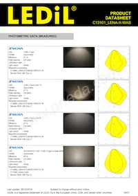 C13101_LENA-X-WAS Datasheet Pagina 19