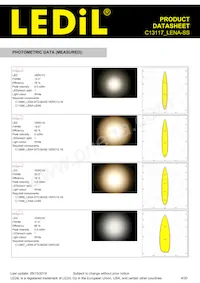 C13117_LENA-SS Datasheet Page 4