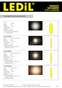 C13117_LENA-SS Datasheet Page 5