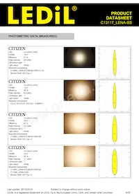 C13117_LENA-SS Datasheet Pagina 6