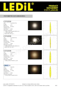 C13117_LENA-SS Datasheet Pagina 8