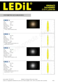 C13117_LENA-SS Datasheet Pagina 9