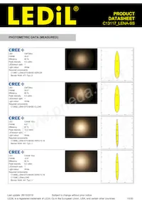 C13117_LENA-SS Datasheet Page 10