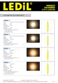 C13117_LENA-SS Datasheet Pagina 11