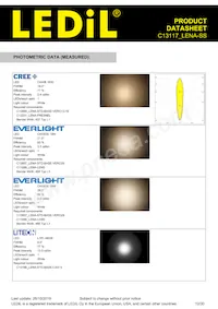 C13117_LENA-SS Datasheet Page 12