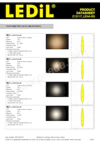 C13117_LENA-SS Datasheet Pagina 15