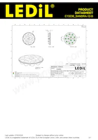 C13236_SANDRA-12-S Datasheet Page 2