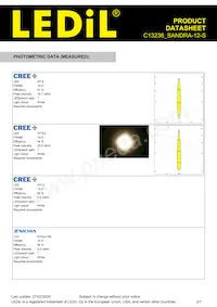 C13236_SANDRA-12-S Datasheet Page 3