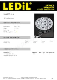 C13405_SANDRA-12-M Datasheet Copertura