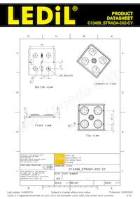 C13499_STRADA-2X2-CY Datasheet Page 2