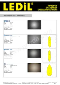 C13556_BRIDGET-M-UNI Datasheet Page 4