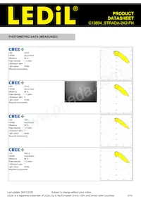 C13604_STRADA-2X2-FN Datasheet Pagina 3