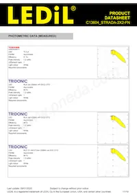 C13604_STRADA-2X2-FN Datasheet Pagina 11