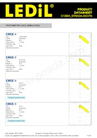 C13604_STRADA-2X2-FN Datasheet Page 13