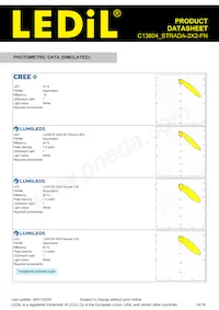 C13604_STRADA-2X2-FN Datasheet Pagina 14