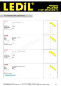 C13604_STRADA-2X2-FN Datasheet Page 17