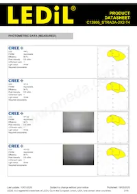 C13805_STRADA-2X2-T4 Datasheet Pagina 3