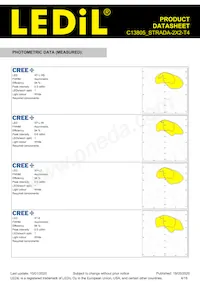 C13805_STRADA-2X2-T4 Datasheet Page 4